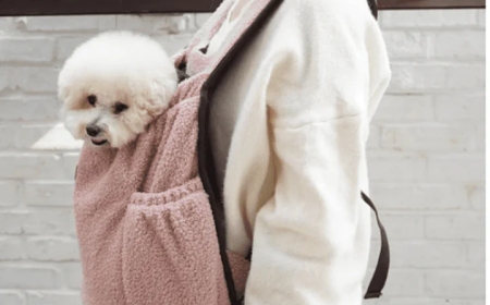 Choosing the Perfect Dog Carrier for Stress-Free Travel