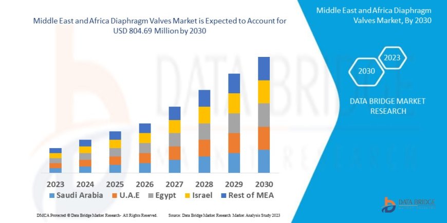 Middle East and Africa Diaphragm Valves Market Demand: Growth, Share, Value, Size, and Insights