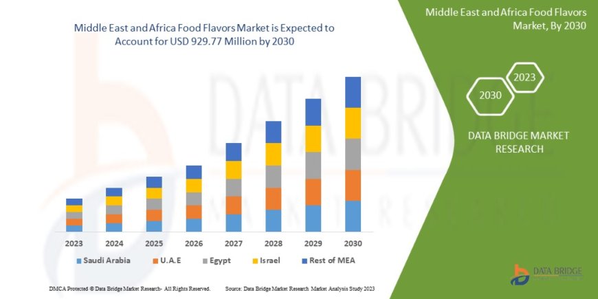 Middle East and Africa Food Flavors Market Industry Statistics: Growth, Share, Value, and Trends