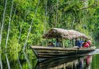 What Should You Know About Amazon Rainforest Guided Tours?