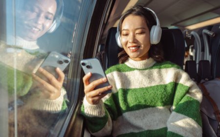 Indian Visa for Zambian Citizens: A Complete Guide