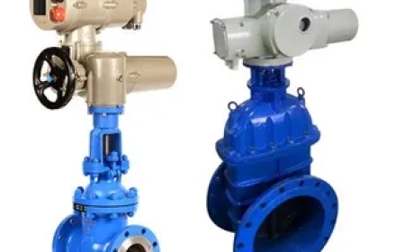 Adjustment of Electric Gate Valve Torque Limiting Mechanism