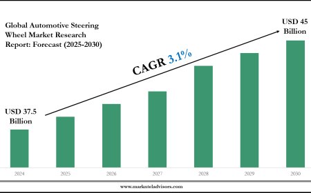 Automotive Steering Wheel Market Value, Forecast, and Industry Overview 2030
