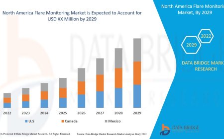 North America Flare Monitoring Market Dynamics: Trends and Forecast to 2029