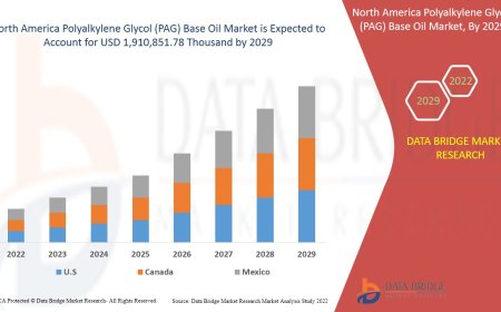North America Polyalkylene Glycol (PAG) Base Oil Market: Key Trends and Future Growth Forecast to 2029