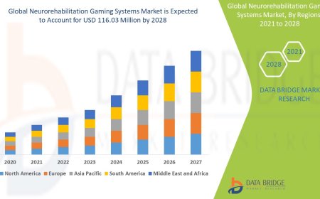 Neurorehabilitation Gaming Systems Market Trends, Insights and Future Outlook