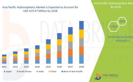 Asia Pacific Hydrocephalus Market Dynamics: Key Drivers and Restraints