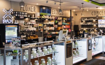 Your Guide to the Best Dispensary Near Me: Discovering Quality, Trust & Experience