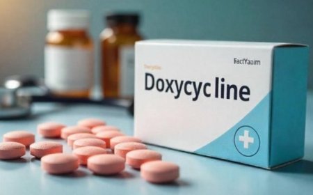 How Doxycycline Works to Fight Bacterial Infections