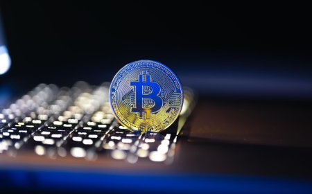 How Crypto Calculators Simplify Trading Decisions ?