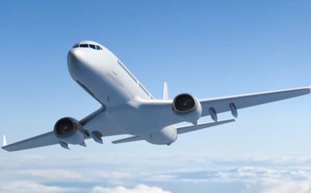 Which Airline Is Easier to Reach? Breeze vs. Southwest Support