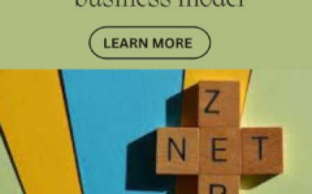 The Ultimate Guide to Building a Net-Zero Business Model