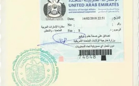 UAE Embassy Dubai Attestation: A Complete Guide for Expats and Professionals