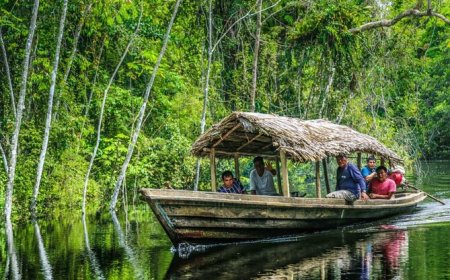 What Should You Know About Amazon Rainforest Guided Tours?