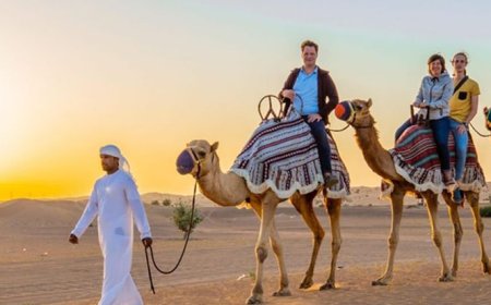 Dubai Desert Safari Price – Complete Guide to Costs, Packages  & Value