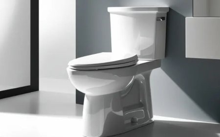 A Friendly Guide to Choosing the Right Toilet for Your Washroom