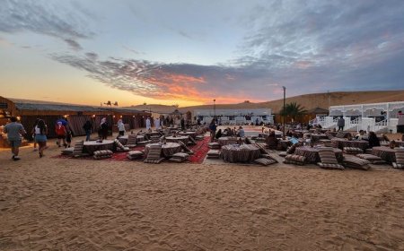 Dubai Desert Safari Tours: A Majestic Arabian Experience